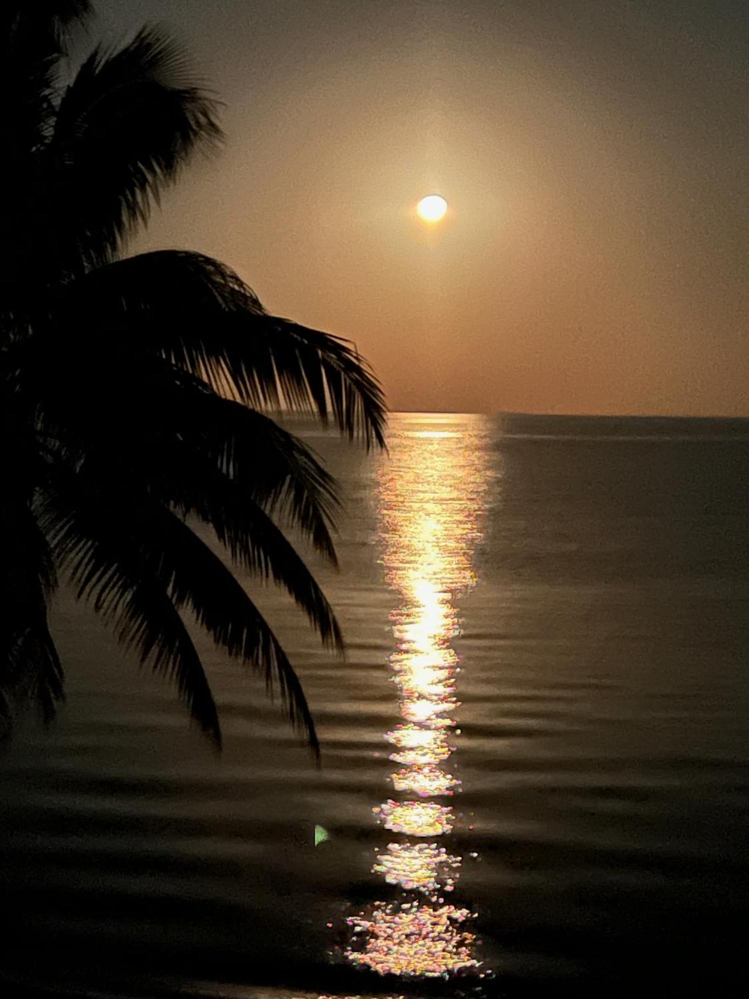 Bella Sway Belize Villa Maya Beach Bagian luar foto